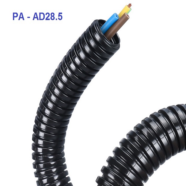 AD28.5